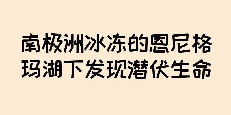 南极洲冰冻的恩尼格玛湖下发现潜伏生命