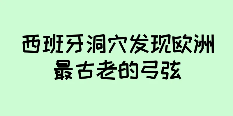 西班牙洞穴发现欧洲最古老的弓弦
