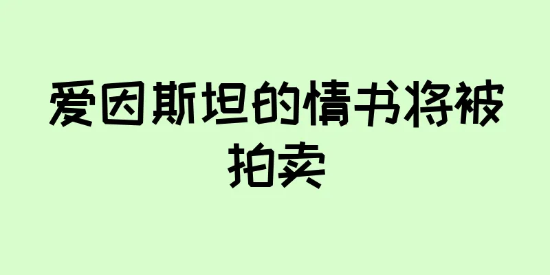 爱因斯坦的情书将被拍卖