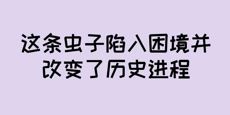 这条虫子陷入困境并改变了历史进程