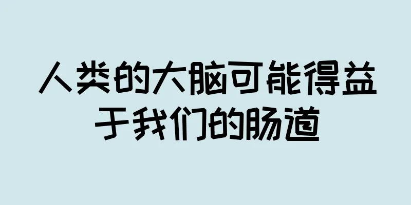 人类的大脑可能得益于我们的肠道
