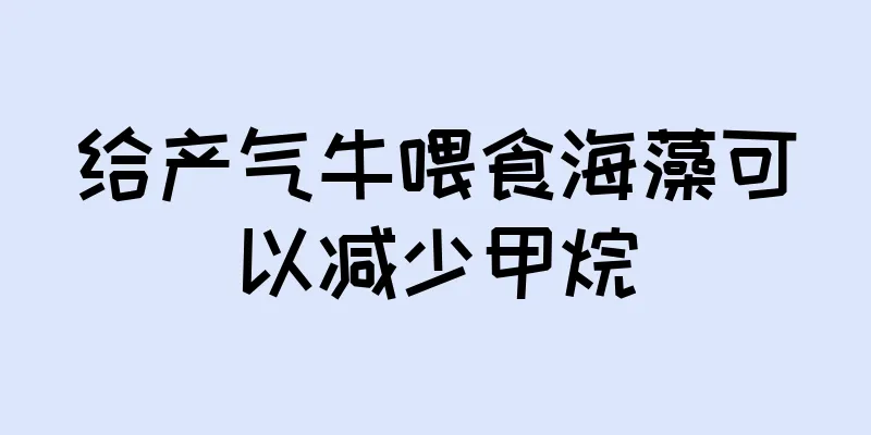 给产气牛喂食海藻可以减少甲烷