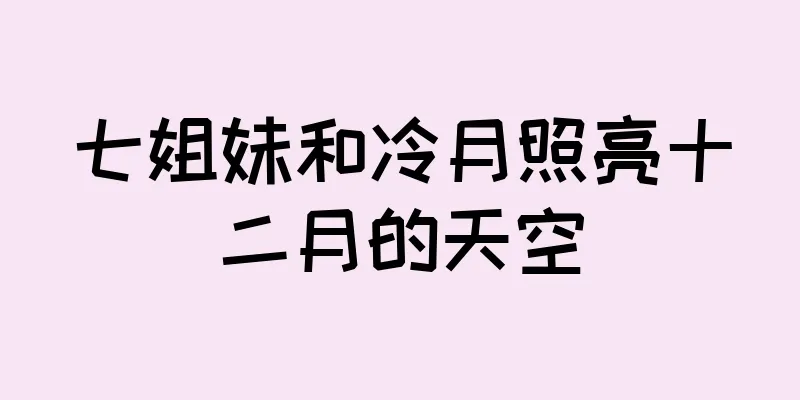 七姐妹和冷月照亮十二月的天空