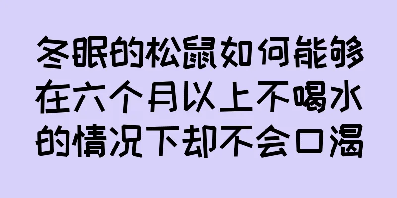 冬眠的松鼠如何能够在六个月以上不喝水的情况下却不会口渴
