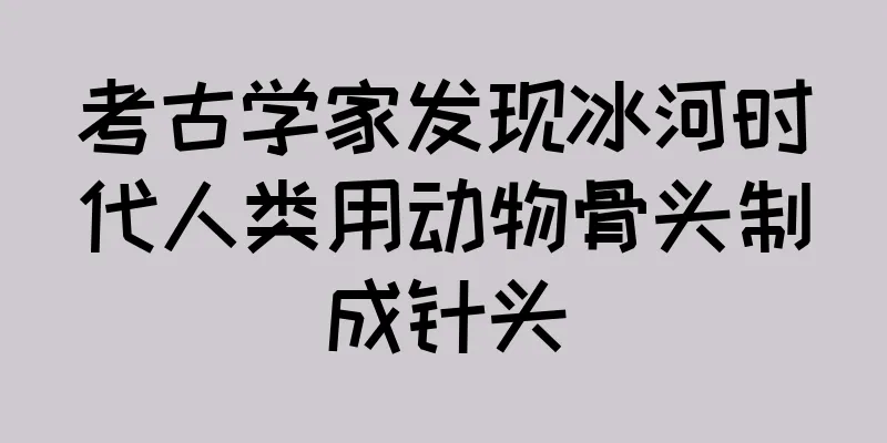 考古学家发现冰河时代人类用动物骨头制成针头