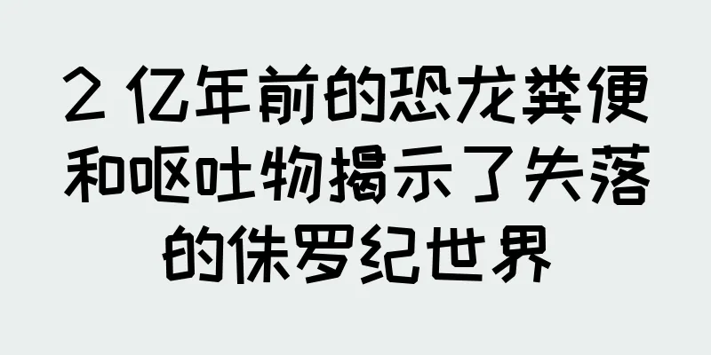 2 亿年前的恐龙粪便和呕吐物揭示了失落的侏罗纪世界