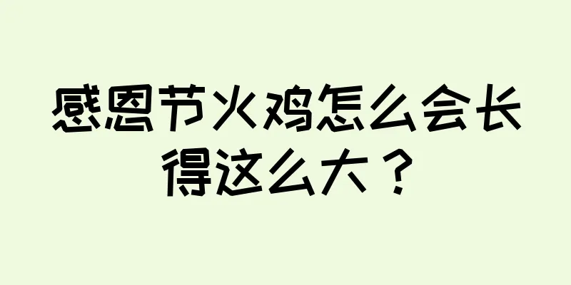 感恩节火鸡怎么会长得这么大？