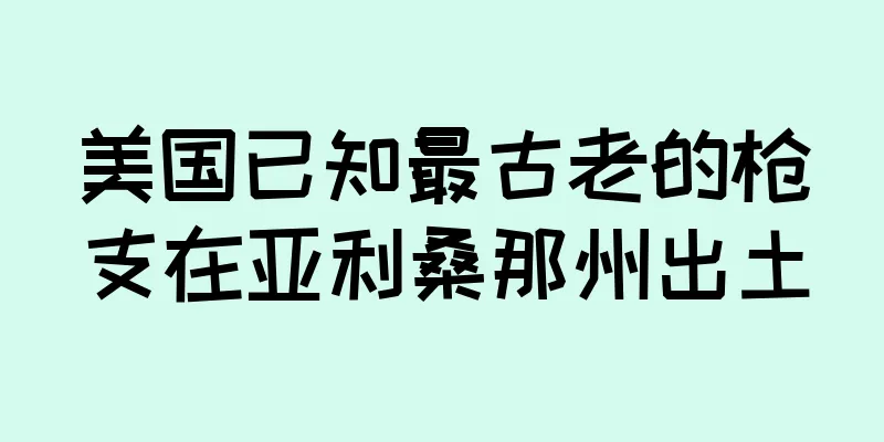 美国已知最古老的枪支在亚利桑那州出土