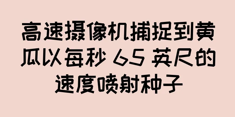 高速摄像机捕捉到黄瓜以每秒 65 英尺的速度喷射种子