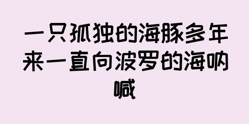 一只孤独的海豚多年来一直向波罗的海呐喊