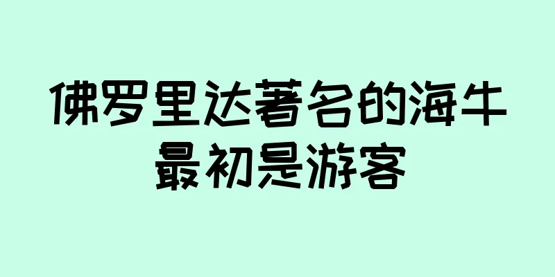 佛罗里达著名的海牛最初是游客