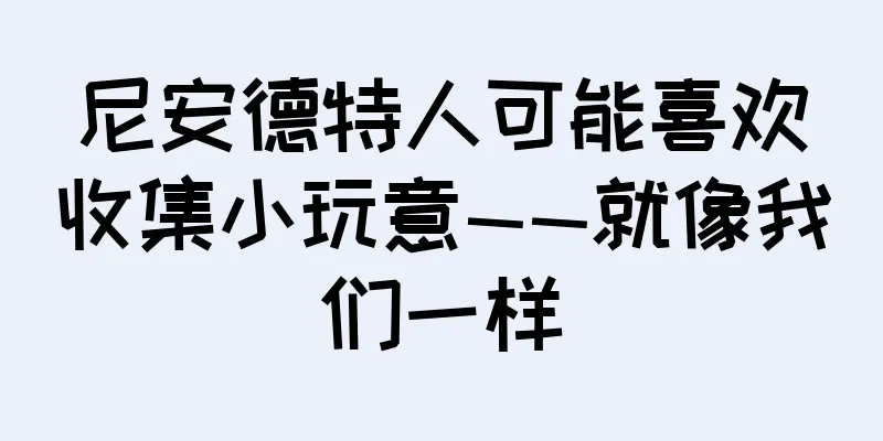 尼安德特人可能喜欢收集小玩意——就像我们一样