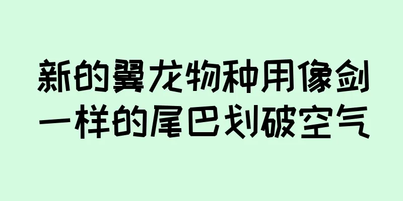 新的翼龙物种用像剑一样的尾巴划破空气