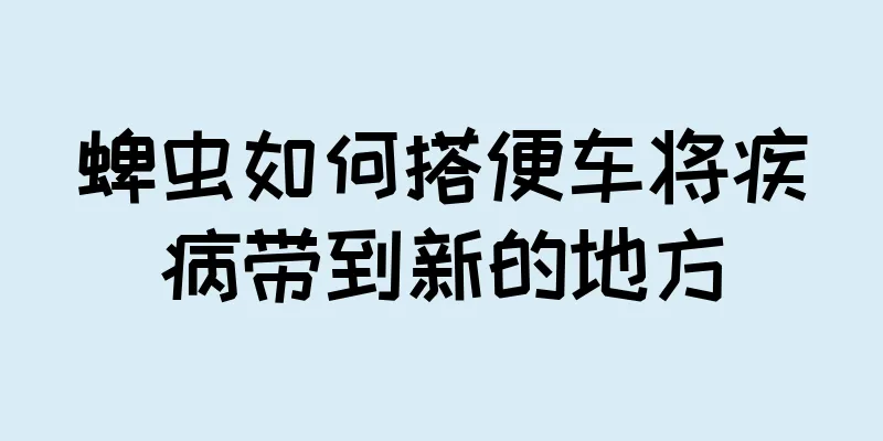 蜱虫如何搭便车将疾病带到新的地方