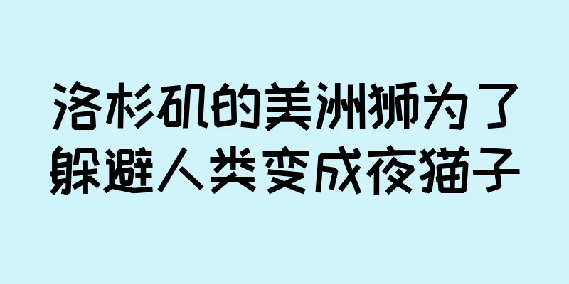 洛杉矶的美洲狮为了躲避人类变成夜猫子
