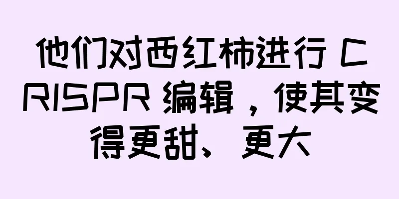 他们对西红柿进行 CRISPR 编辑，使其变得更甜、更大