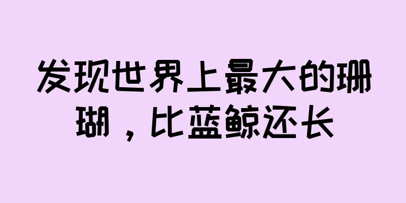 发现世界上最大的珊瑚，比蓝鲸还长