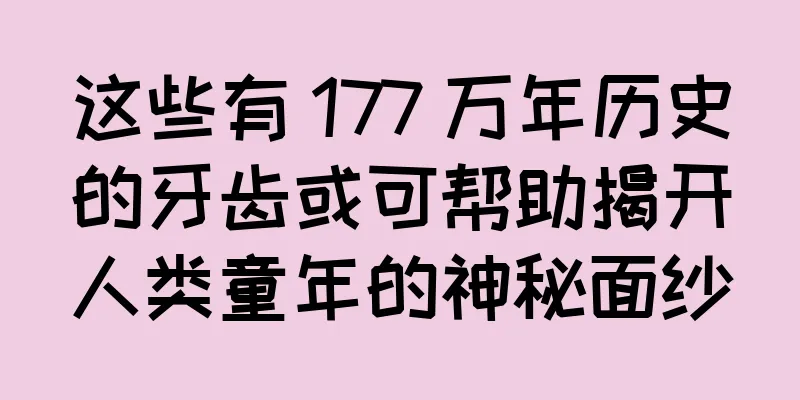 这些有 177 万年历史的牙齿或可帮助揭开人类童年的神秘面纱