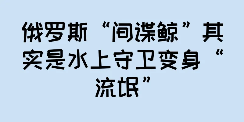 俄罗斯“间谍鲸”其实是水上守卫变身“流氓”