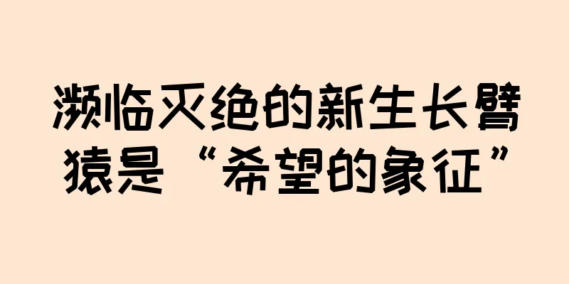 濒临灭绝的新生长臂猿是“希望的象征”