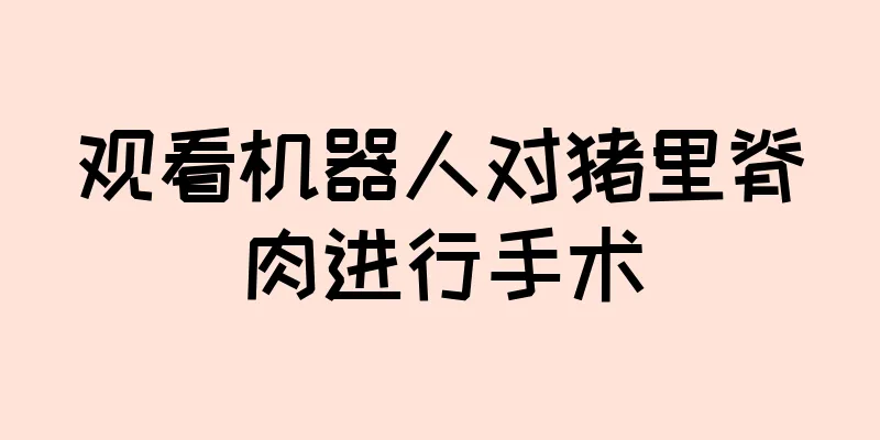 观看机器人对猪里脊肉进行手术