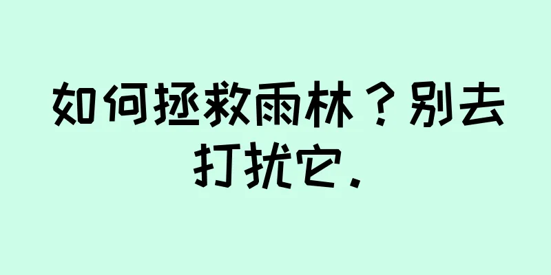 如何拯救雨林？别去打扰它。