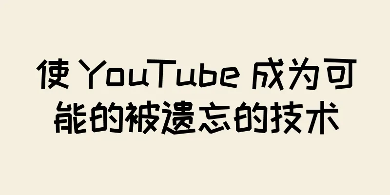 使 YouTube 成为可能的被遗忘的技术