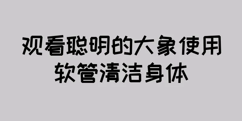 观看聪明的大象使用软管清洁身体
