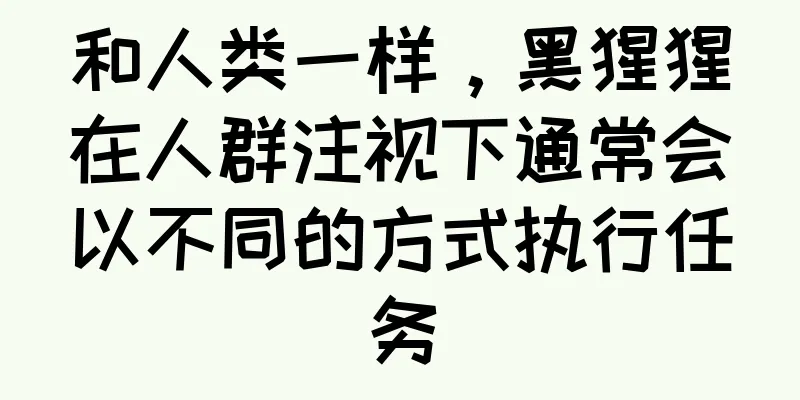 和人类一样，黑猩猩在人群注视下通常会以不同的方式执行任务