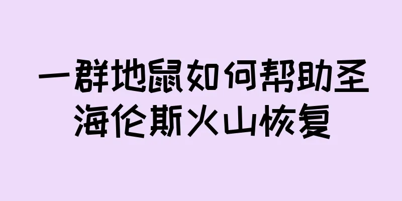 一群地鼠如何帮助圣海伦斯火山恢复