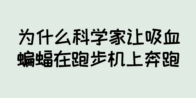 为什么科学家让吸血蝙蝠在跑步机上奔跑