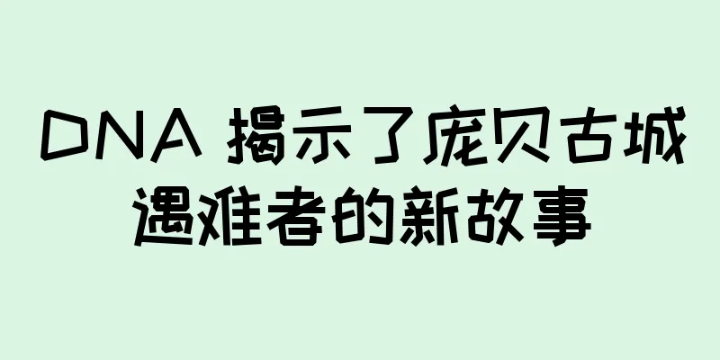 DNA 揭示了庞贝古城遇难者的新故事