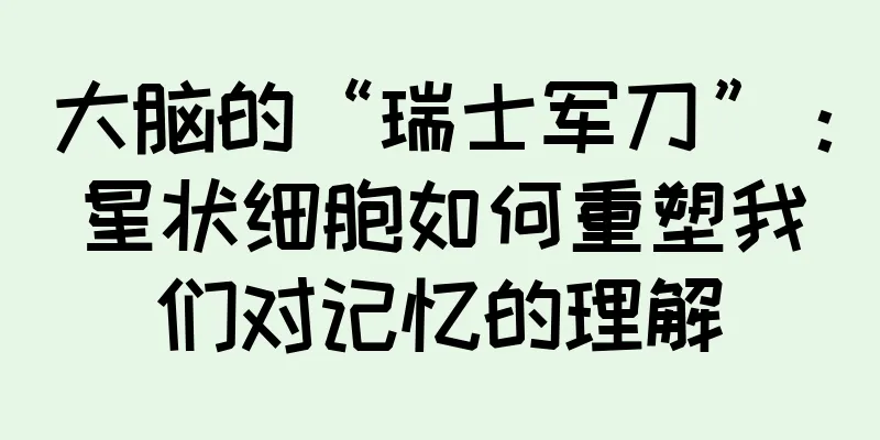 大脑的“瑞士军刀”：星状细胞如何重塑我们对记忆的理解