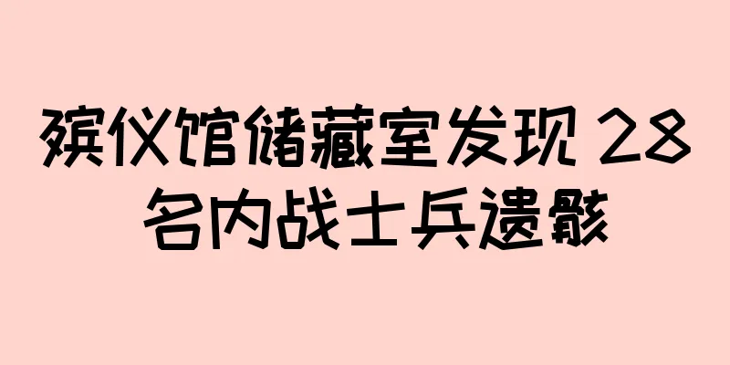 殡仪馆储藏室发现 28 名内战士兵遗骸