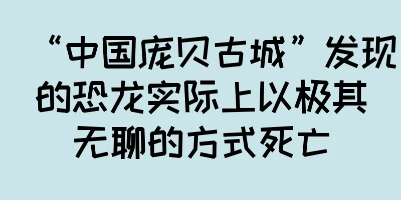 “中国庞贝古城”发现的恐龙实际上以极其无聊的方式死亡