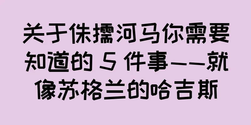 关于侏儒河马你需要知道的 5 件事——就像苏格兰的哈吉斯