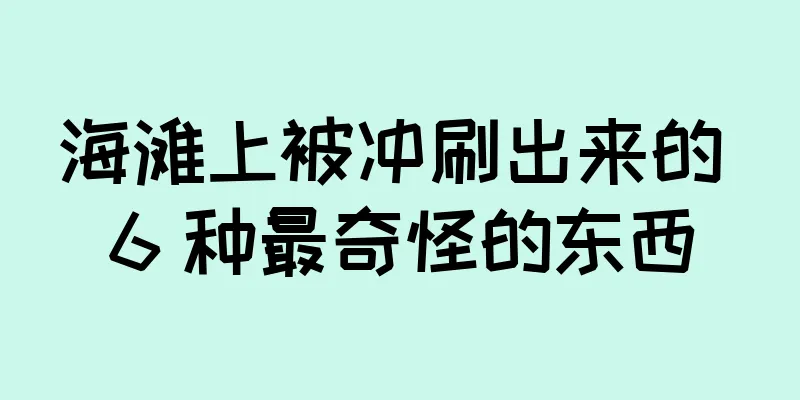 海滩上被冲刷出来的 6 种最奇怪的东西
