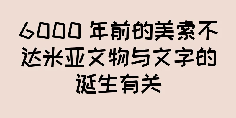 6000 年前的美索不达米亚文物与文字的诞生有关