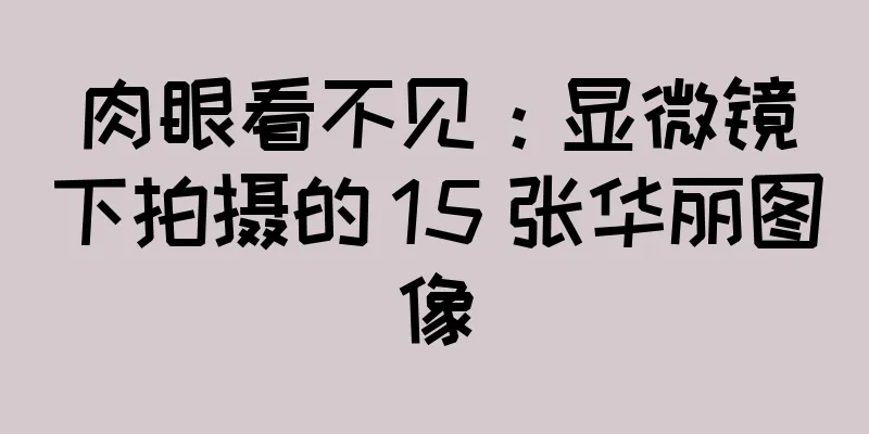 肉眼看不见：显微镜下拍摄的 15 张华丽图像