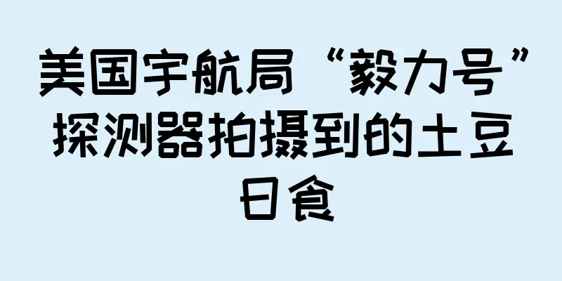 美国宇航局“毅力号”探测器拍摄到的土豆日食