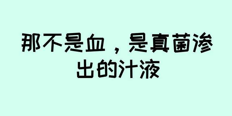 那不是血，是真菌渗出的汁液
