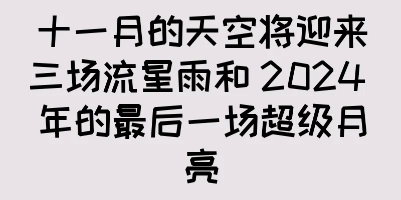 十一月的天空将迎来三场流星雨和 2024 年的最后一场超级月亮