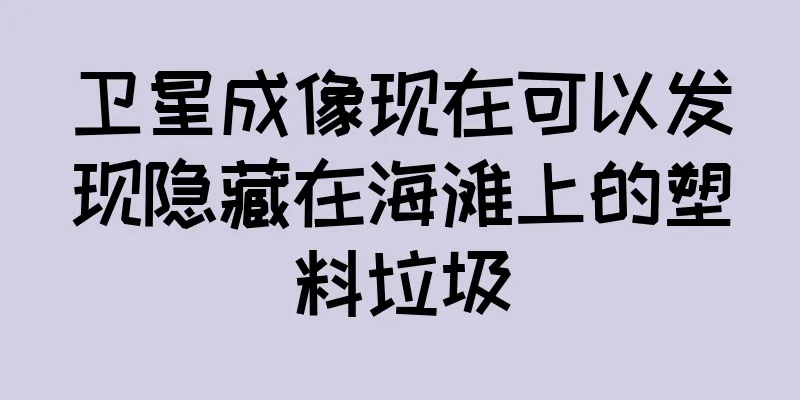 卫星成像现在可以发现隐藏在海滩上的塑料垃圾