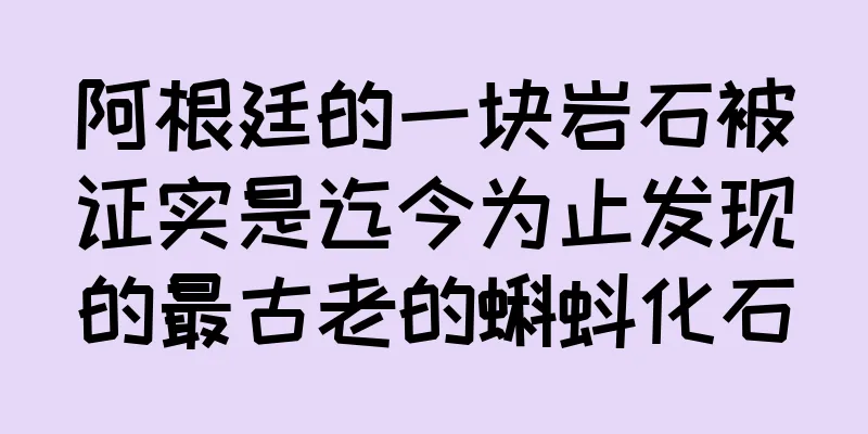 阿根廷的一块岩石被证实是迄今为止发现的最古老的蝌蚪化石