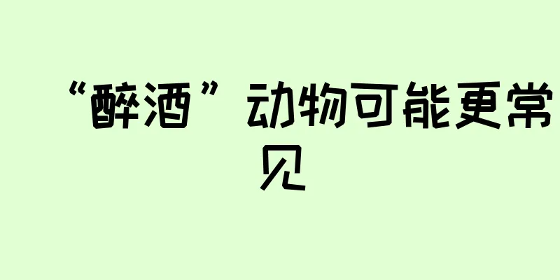 “醉酒”动物可能更常见