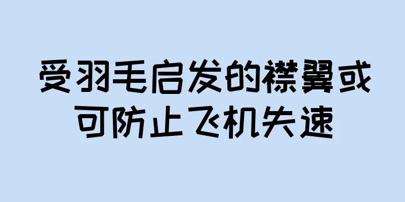 受羽毛启发的襟翼或可防止飞机失速