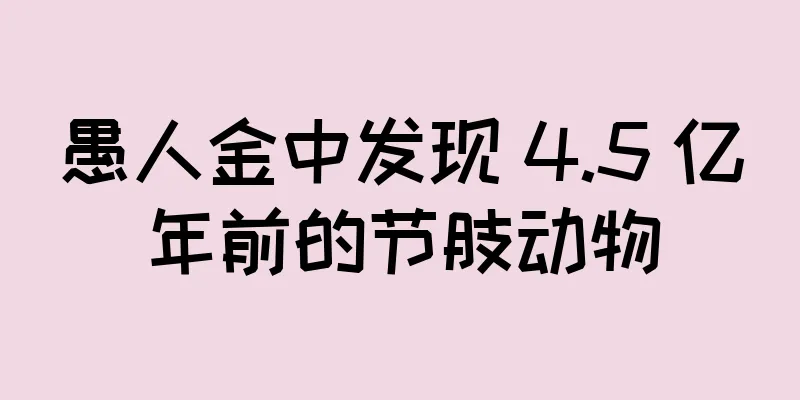 愚人金中发现 4.5 亿年前的节肢动物
