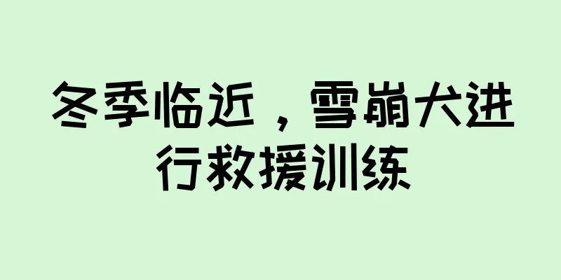 冬季临近，雪崩犬进行救援训练