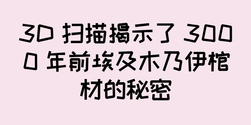 3D 扫描揭示了 3000 年前埃及木乃伊棺材的秘密