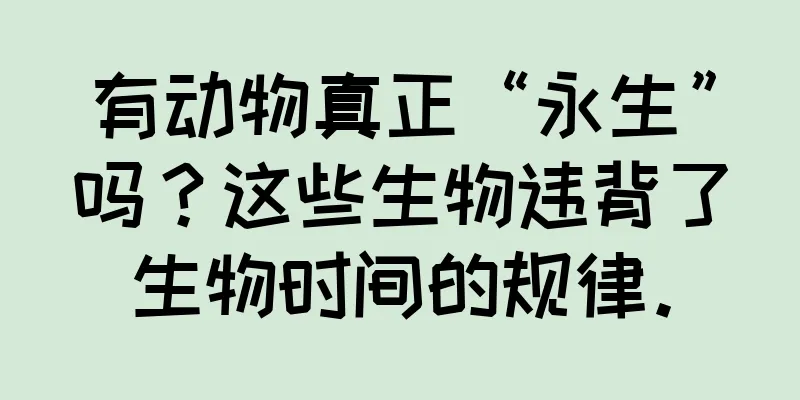 有动物真正“永生”吗？这些生物违背了生物时间的规律。
